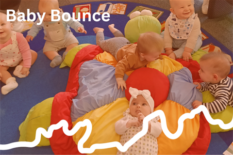 Camperdown Baby Bounce.png